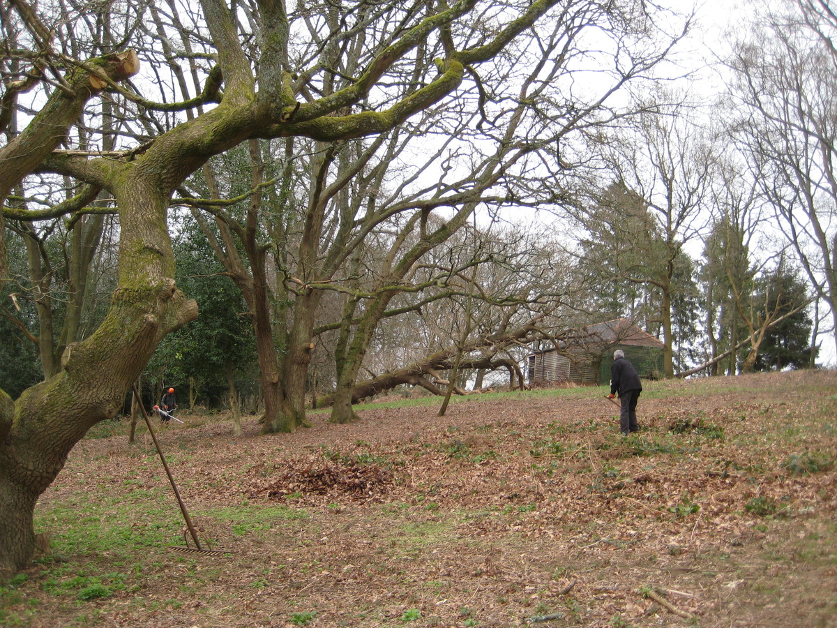 20 march -brush cutting and scything brambles